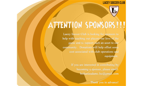 Looking for Sponsors!